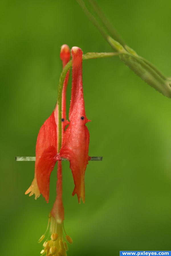 Creation of red flower birds: Final Result